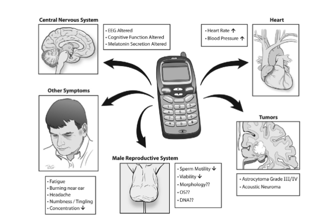 電磁輻射知識(shí)科普：為什么信號(hào)越弱，手機(jī)輻射越大？