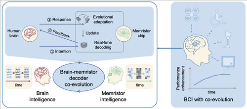 我國科學(xué)家取得腦機(jī)接口新突破
