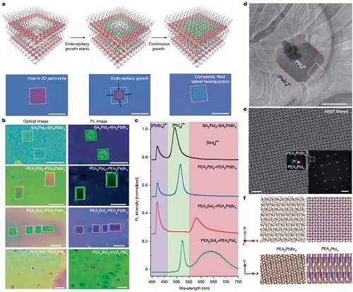 format,f_avif.avif (2).jpg format,f_avif.avif (2).jpg